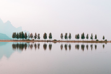 什么是生物的种和界?