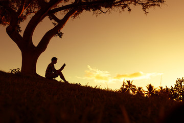 什么是生物的种和界？