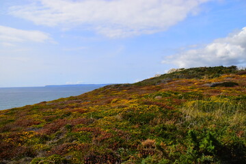 文章合为时而著,歌诗合为事而作是哪个诗派