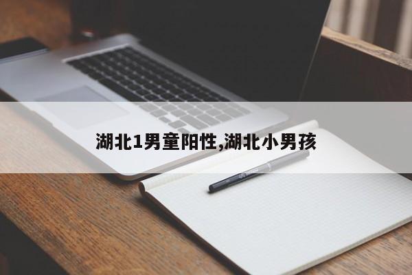 湖北1男童阳性,湖北小男孩
