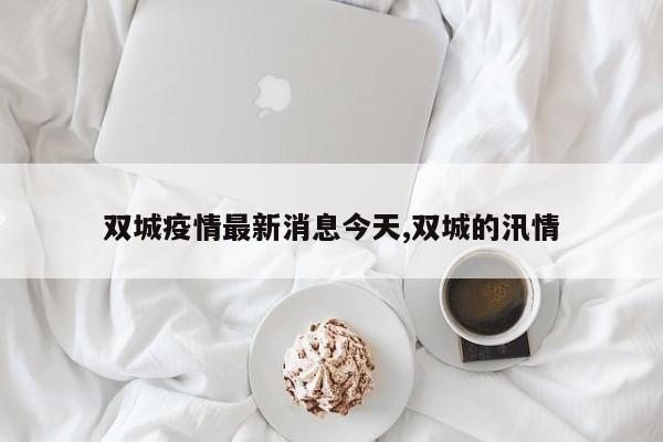 双城疫情最新消息今天,双城的汛情