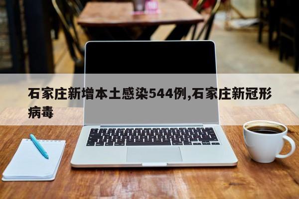 石家庄新增本土感染544例,石家庄新冠形病毒